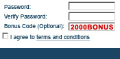 Enter Bonus Code Step Three